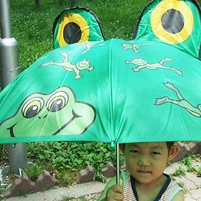 개구리 우산
