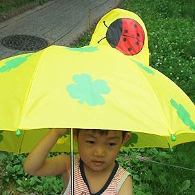 무당벌레 우산